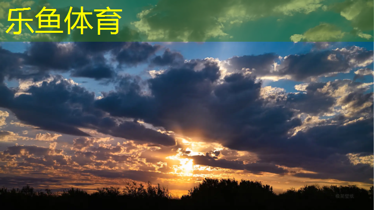 跆拳道护具的问题与对策